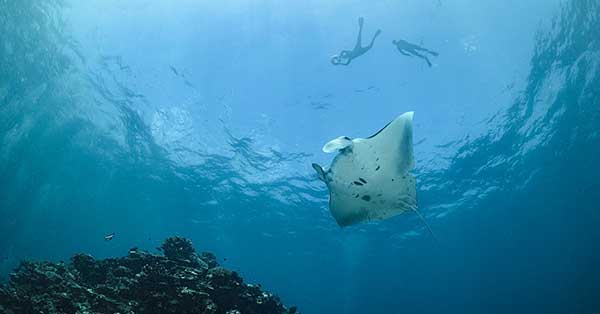 Nusa Penida Snorkeling Tour